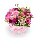 Box růžových květin